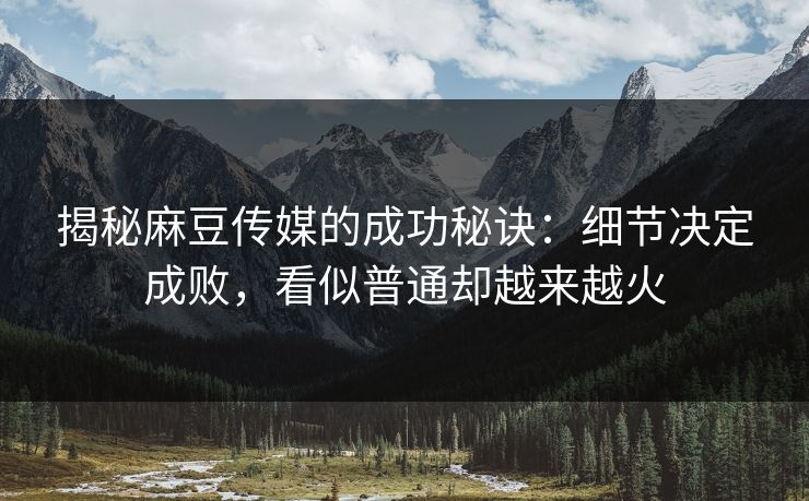 揭秘麻豆传媒的成功秘诀：细节决定成败，看似普通却越来越火