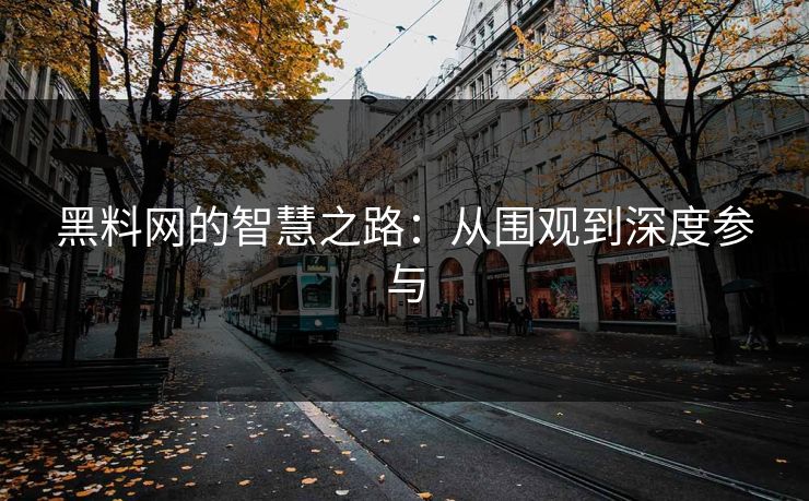 黑料网的智慧之路：从围观到深度参与
