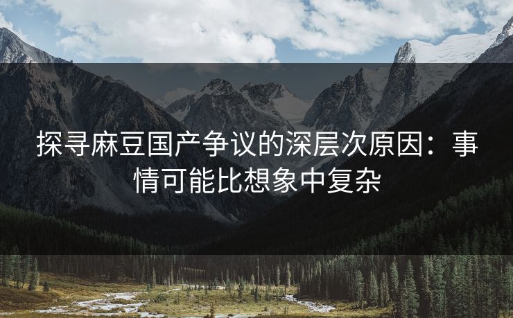 探寻麻豆国产争议的深层次原因：事情可能比想象中复杂