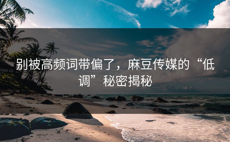 别被高频词带偏了，麻豆传媒的“低调”秘密揭秘