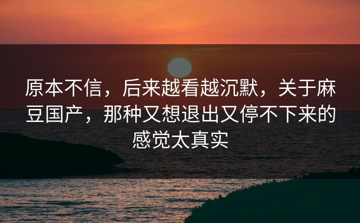原本不信，后来越看越沉默，关于麻豆国产，那种又想退出又停不下来的感觉太真实