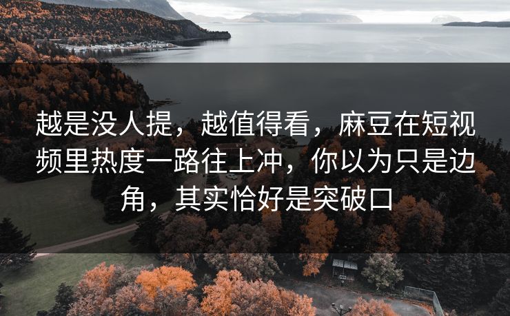 越是没人提，越值得看，麻豆在短视频里热度一路往上冲，你以为只是边角，其实恰好是突破口