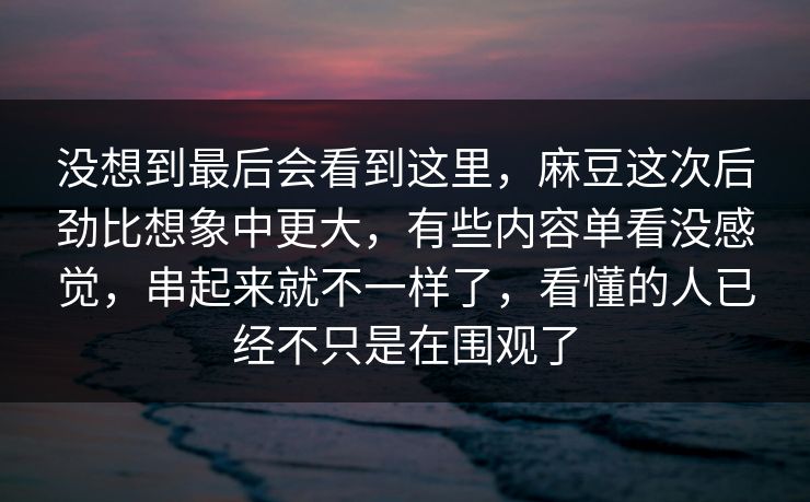 没想到最后会看到这里，麻豆这次后劲比想象中更大，有些内容单看没感觉，串起来就不一样了，看懂的人已经不只是在围观了