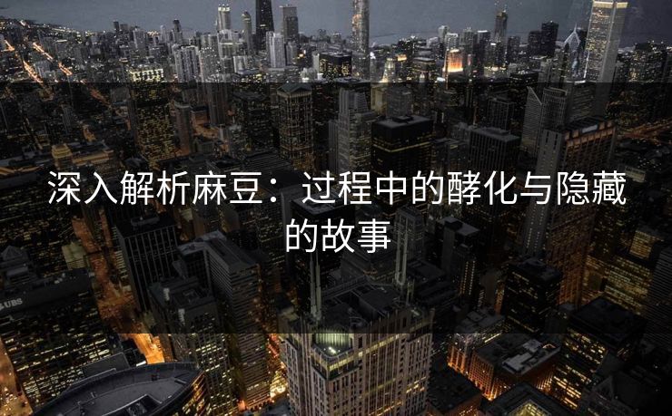 深入解析麻豆：过程中的酵化与隐藏的故事