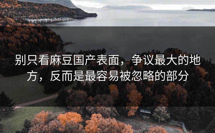 别只看麻豆国产表面，争议最大的地方，反而是最容易被忽略的部分