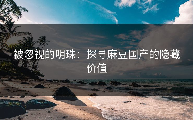被忽视的明珠：探寻麻豆国产的隐藏价值