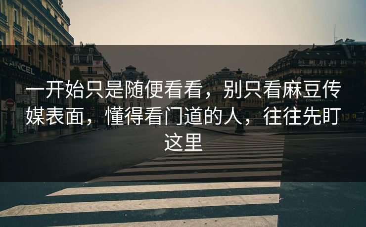 一开始只是随便看看，别只看麻豆传媒表面，懂得看门道的人，往往先盯这里