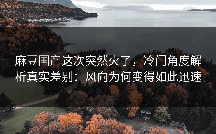 麻豆国产这次突然火了，冷门角度解析真实差别：风向为何变得如此迅速