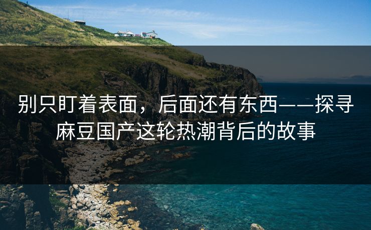 别只盯着表面，后面还有东西——探寻麻豆国产这轮热潮背后的故事